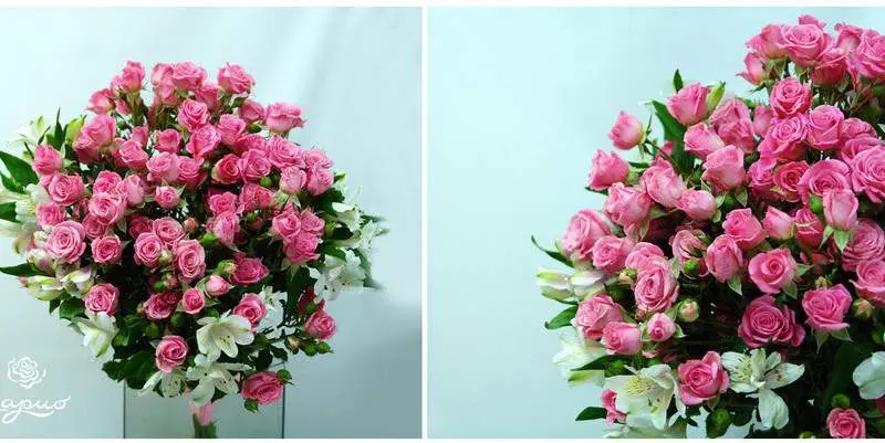 Розовые Мечты